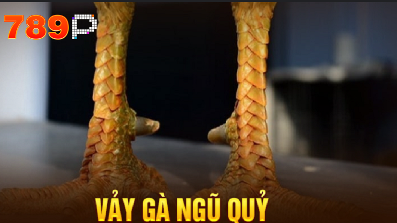 Tìm hiểu về vảy gà Ngũ Quỷ